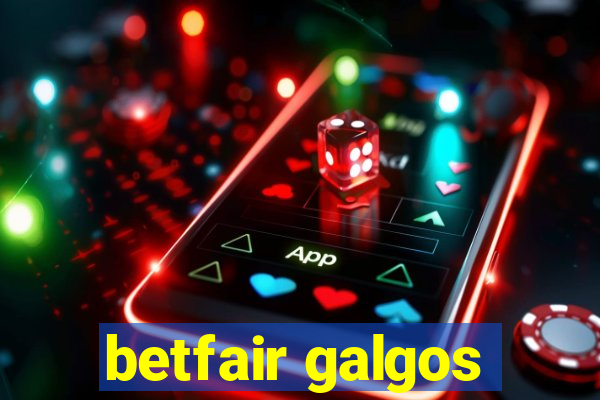 betfair galgos